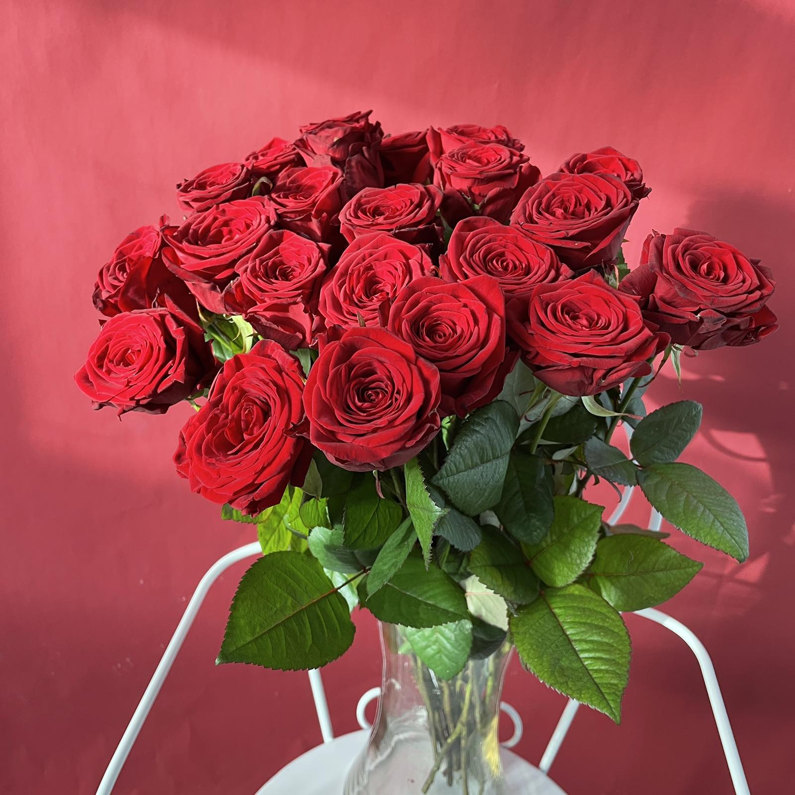 Роза Select красная 50 см