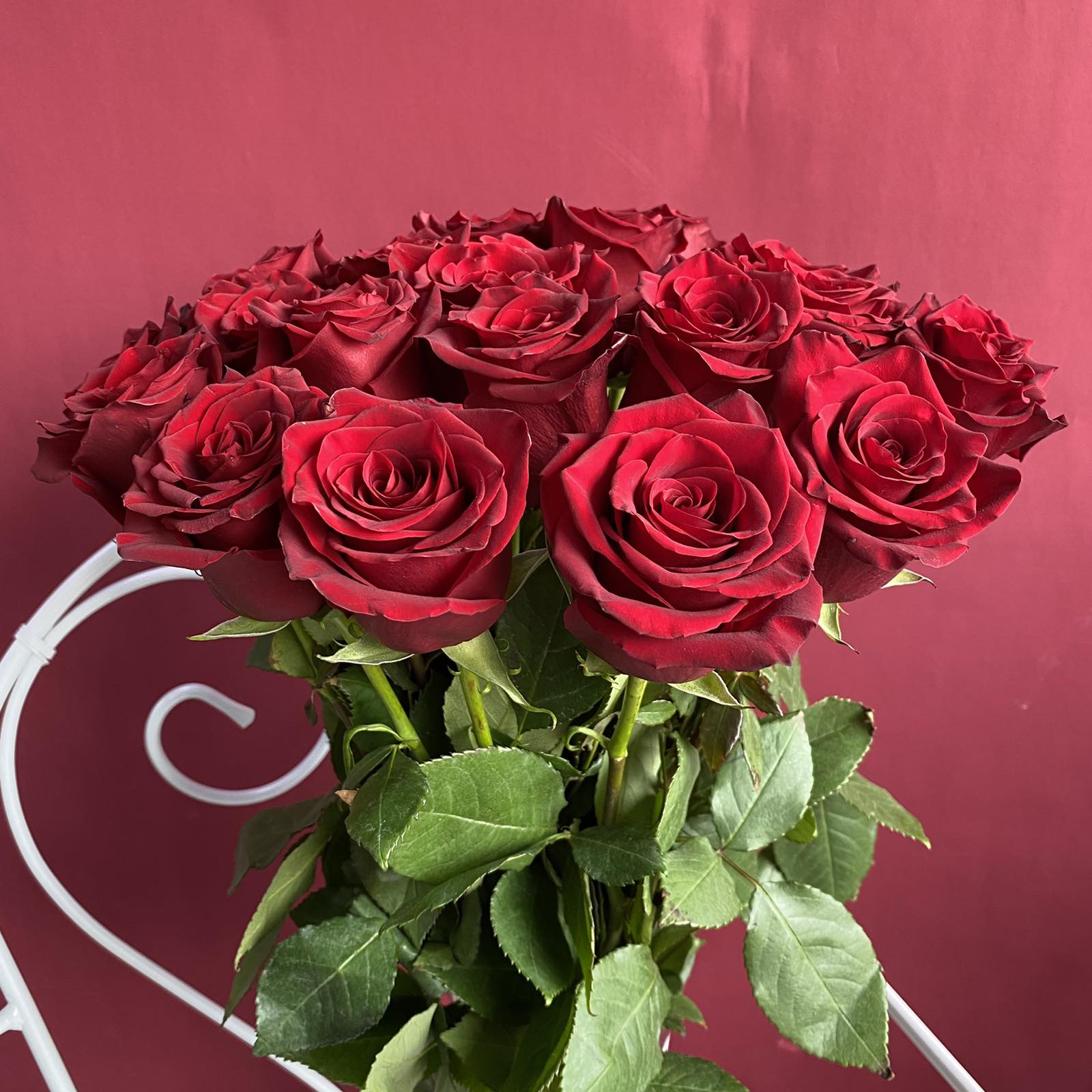 Роза Эквадор красная 70 см